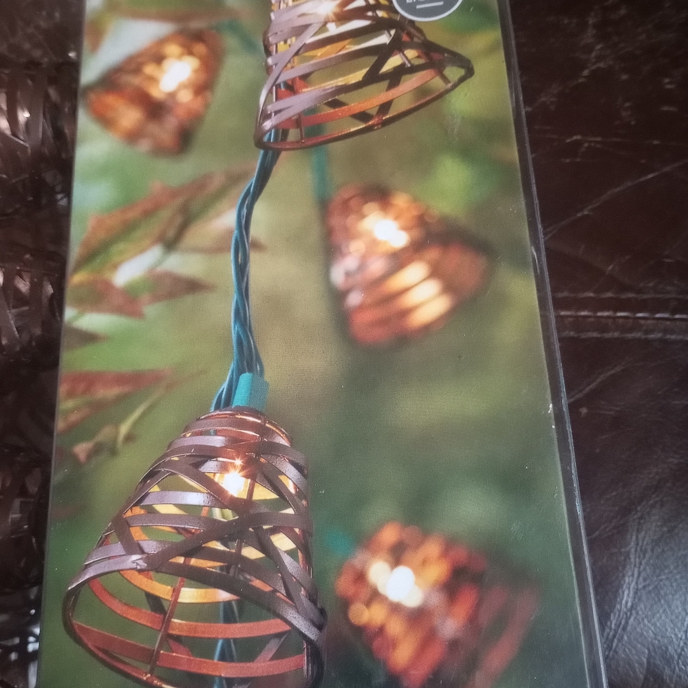 Threshold weather resistant string 10 light